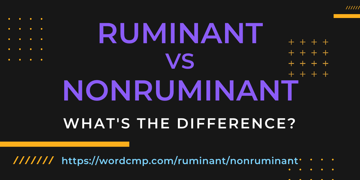 Difference between ruminant and nonruminant