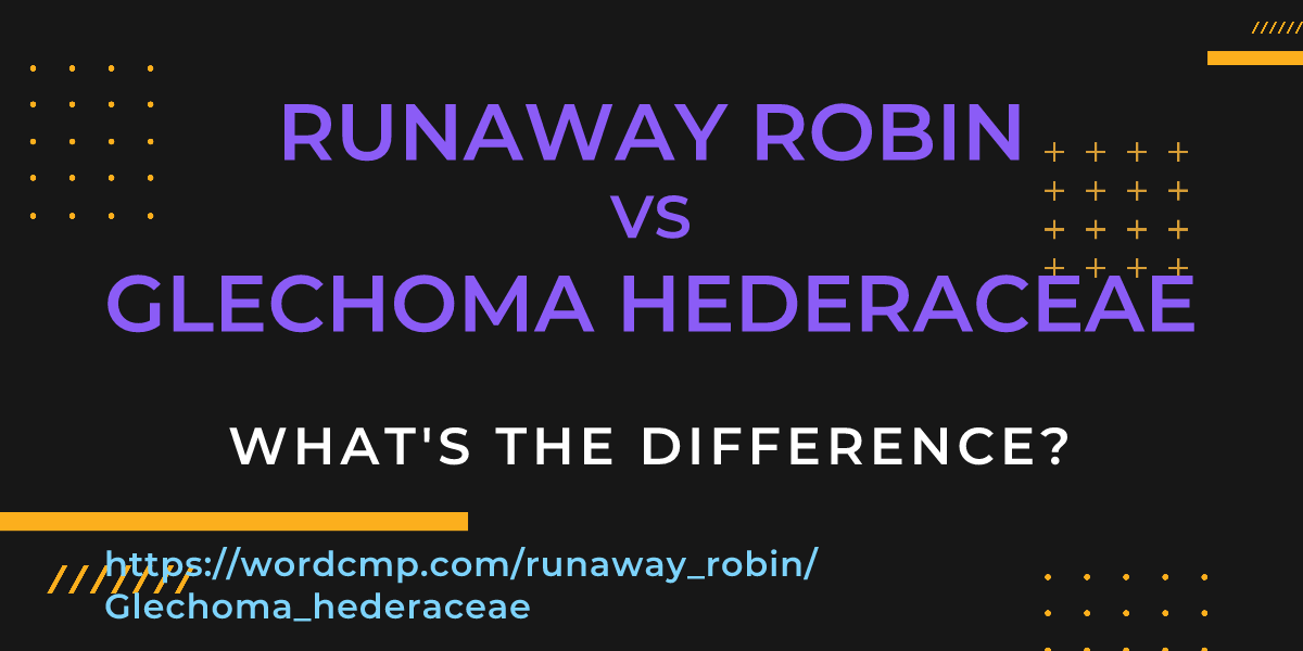 Difference between runaway robin and Glechoma hederaceae