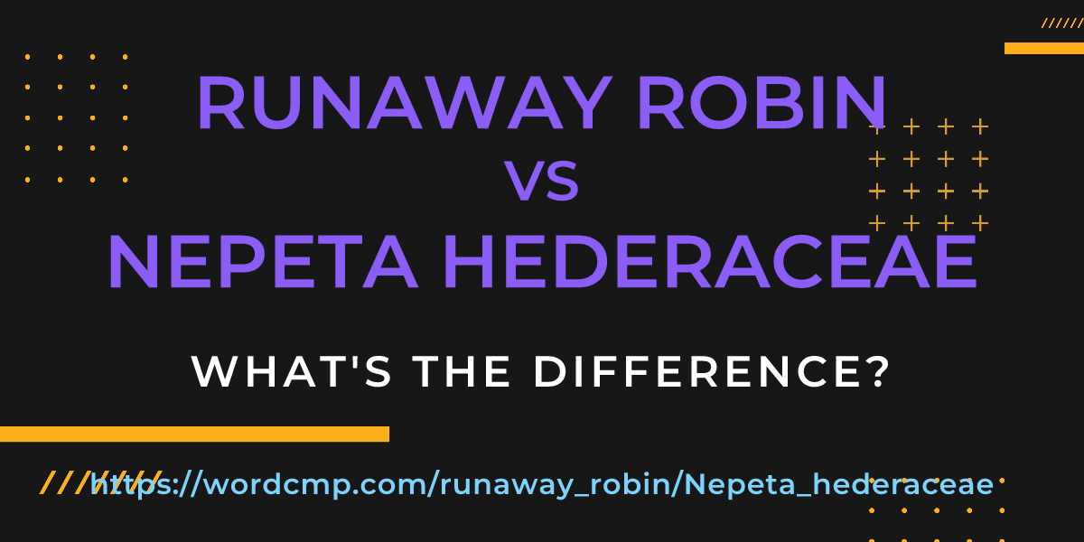 Difference between runaway robin and Nepeta hederaceae