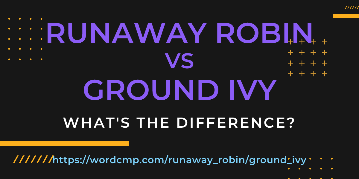Difference between runaway robin and ground ivy