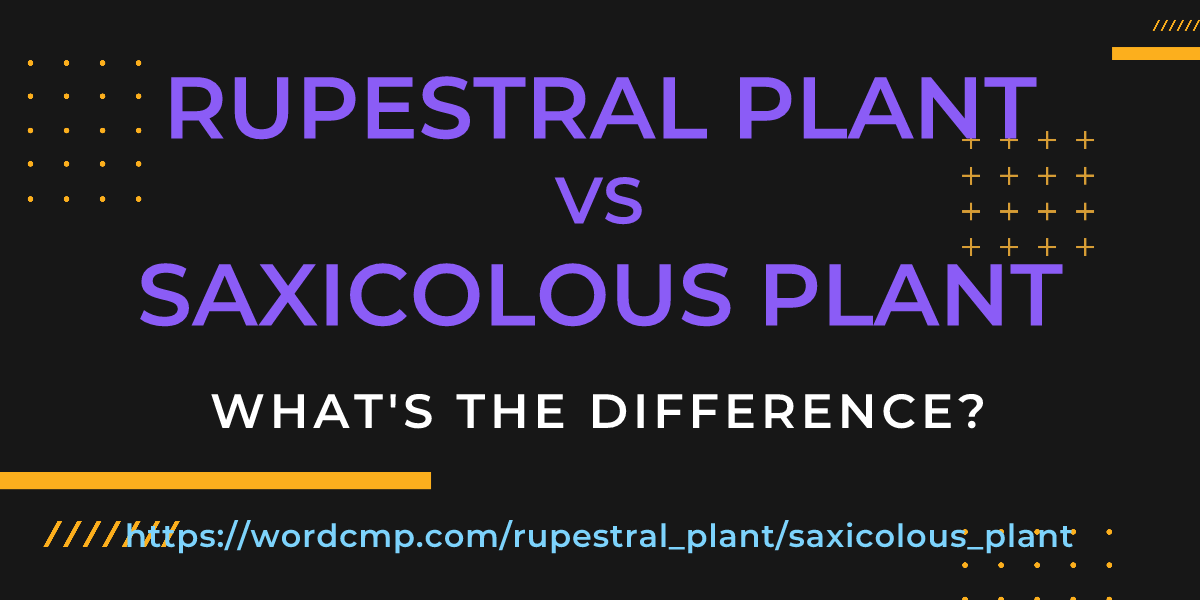 Difference between rupestral plant and saxicolous plant