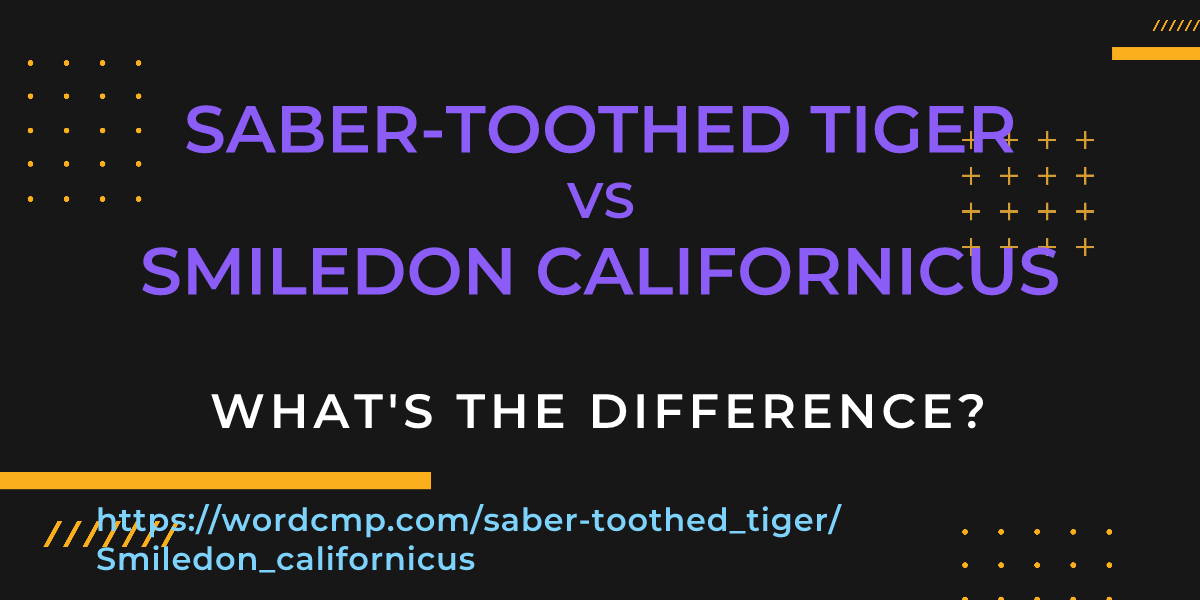 Difference between saber-toothed tiger and Smiledon californicus