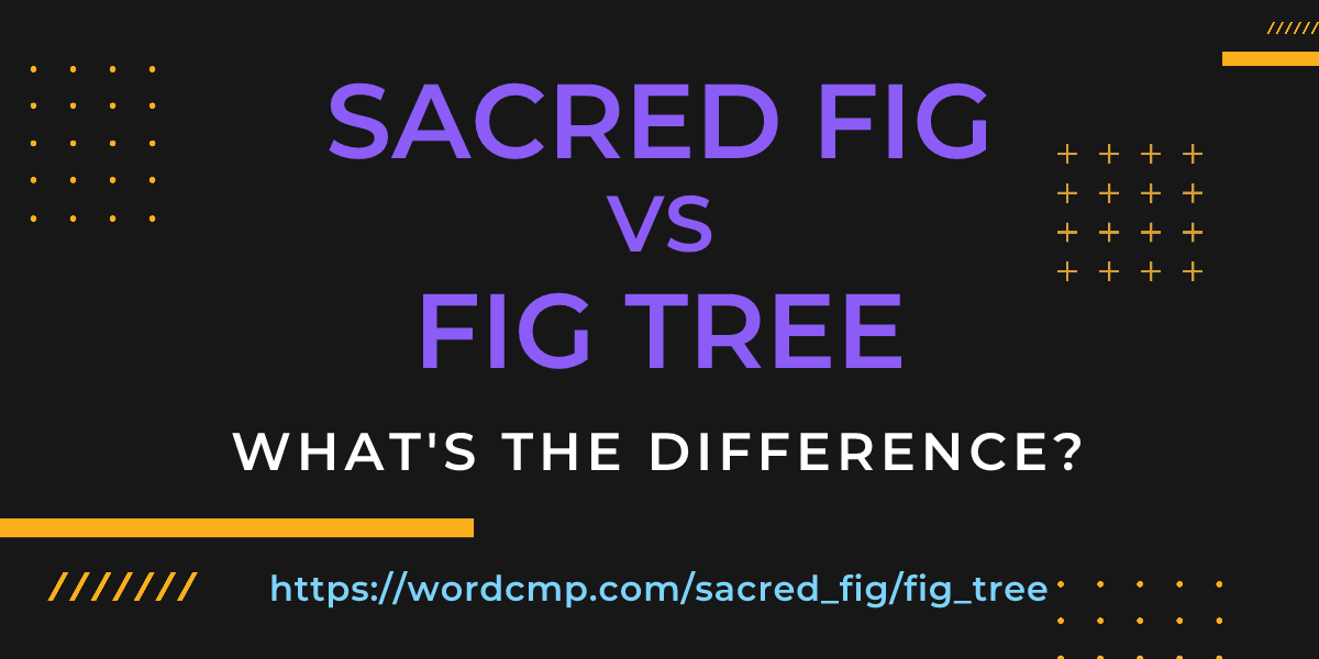 Difference between sacred fig and fig tree