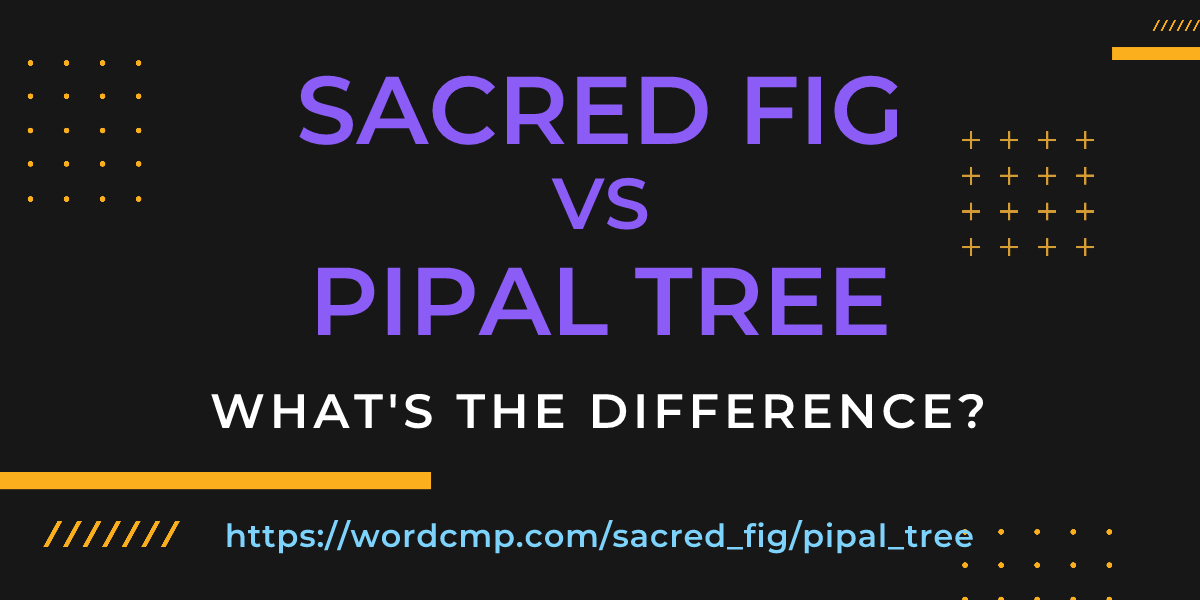 Difference between sacred fig and pipal tree