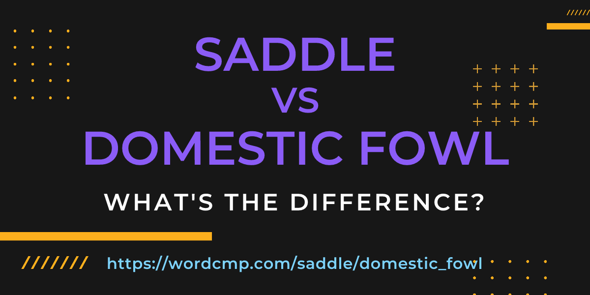 Difference between saddle and domestic fowl