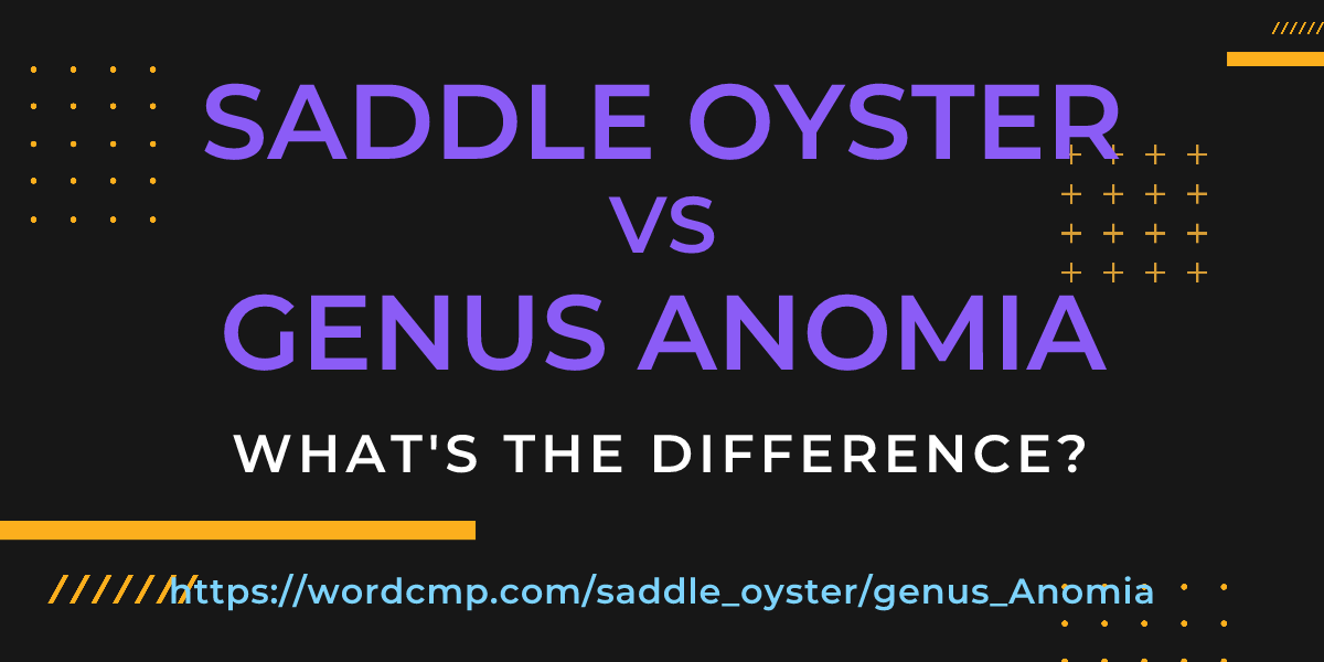 Difference between saddle oyster and genus Anomia