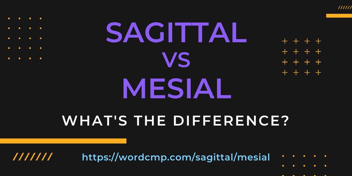 Difference between sagittal and mesial