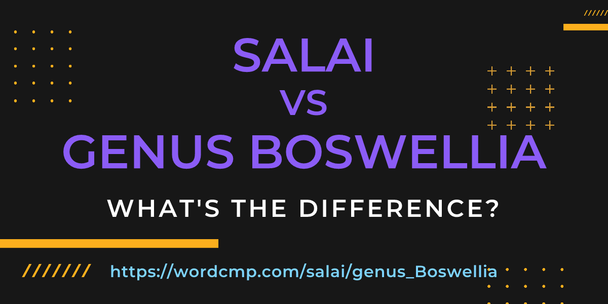 Difference between salai and genus Boswellia