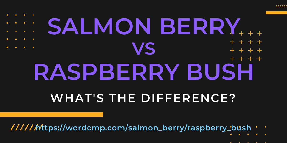Difference between salmon berry and raspberry bush