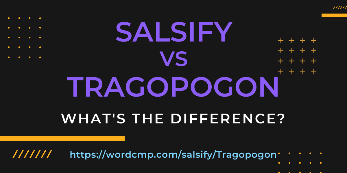 Difference between salsify and Tragopogon