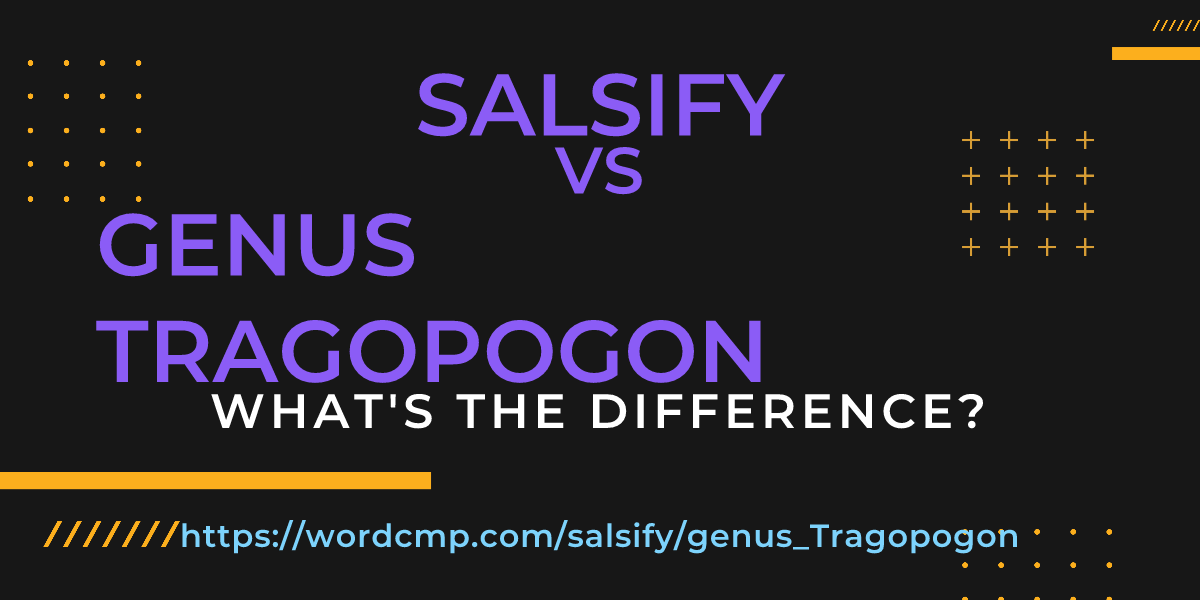 Difference between salsify and genus Tragopogon