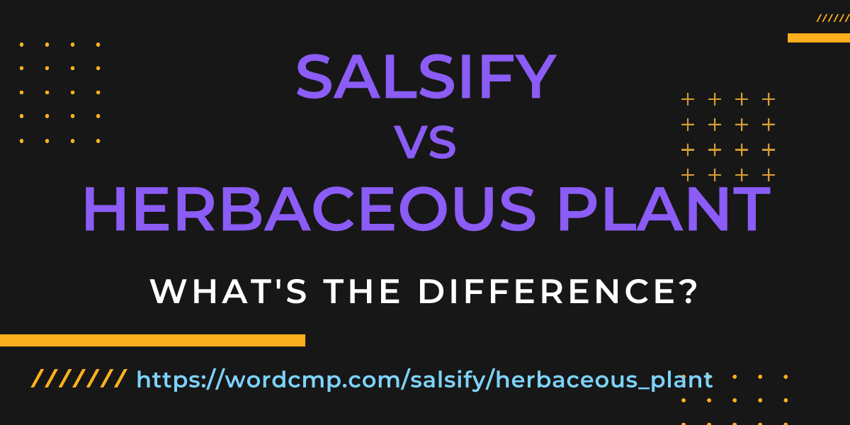 Difference between salsify and herbaceous plant