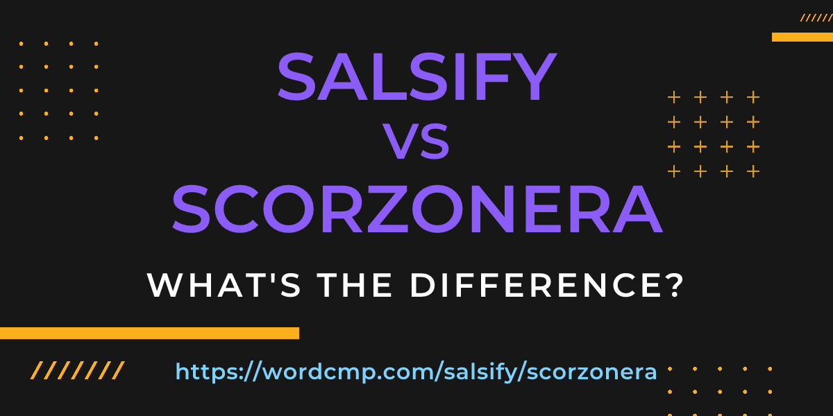 Difference between salsify and scorzonera