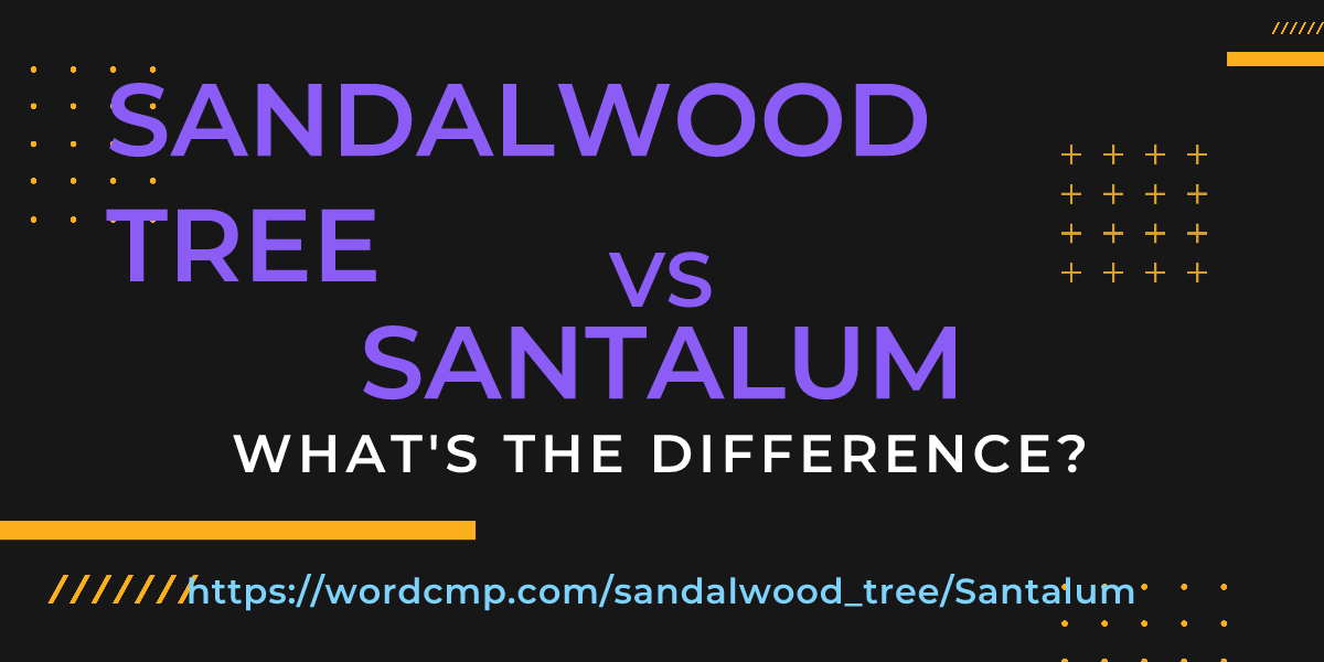 Difference between sandalwood tree and Santalum