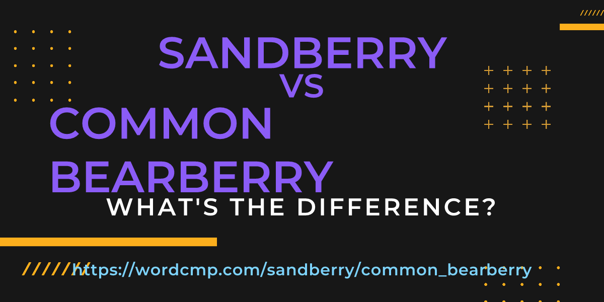Difference between sandberry and common bearberry