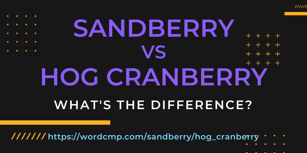 Difference between sandberry and hog cranberry