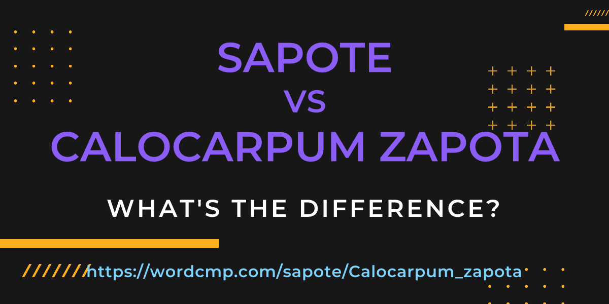 Difference between sapote and Calocarpum zapota