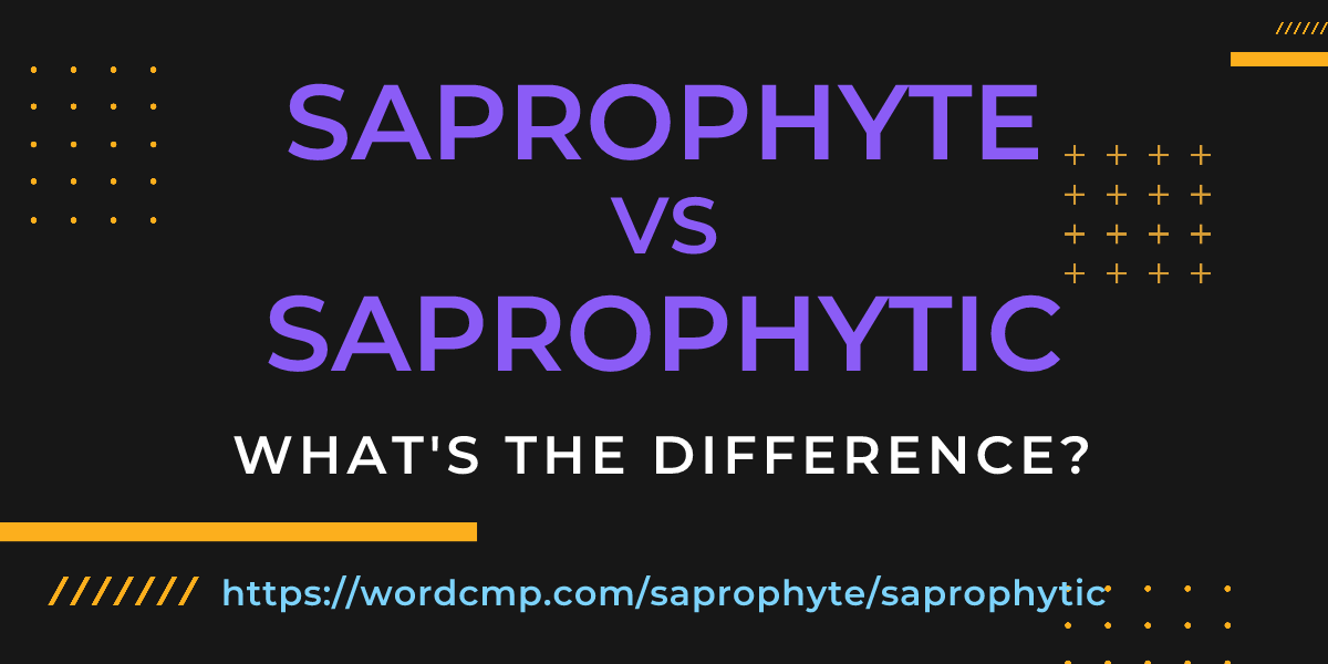Difference between saprophyte and saprophytic