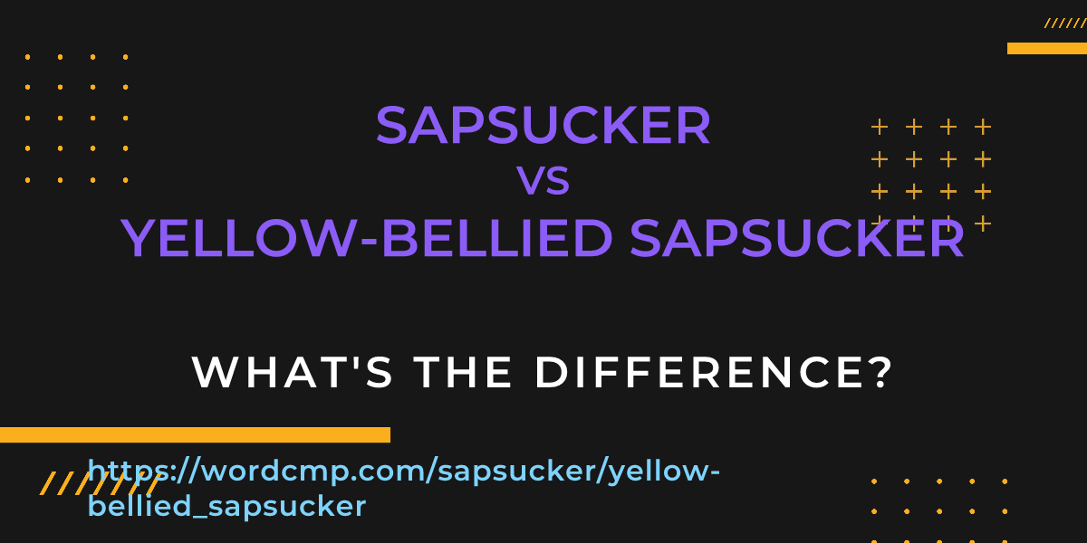 Difference between sapsucker and yellow-bellied sapsucker