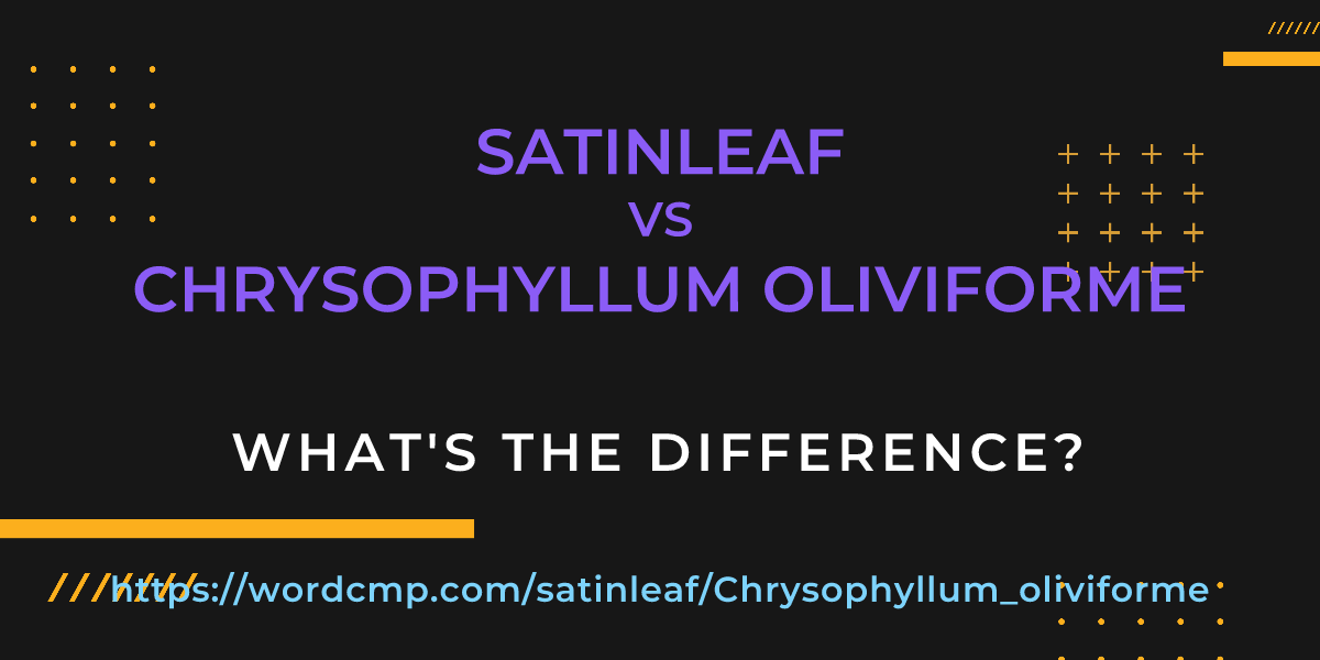 Difference between satinleaf and Chrysophyllum oliviforme