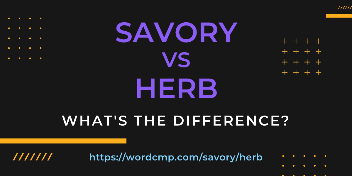 Difference between savory and herb