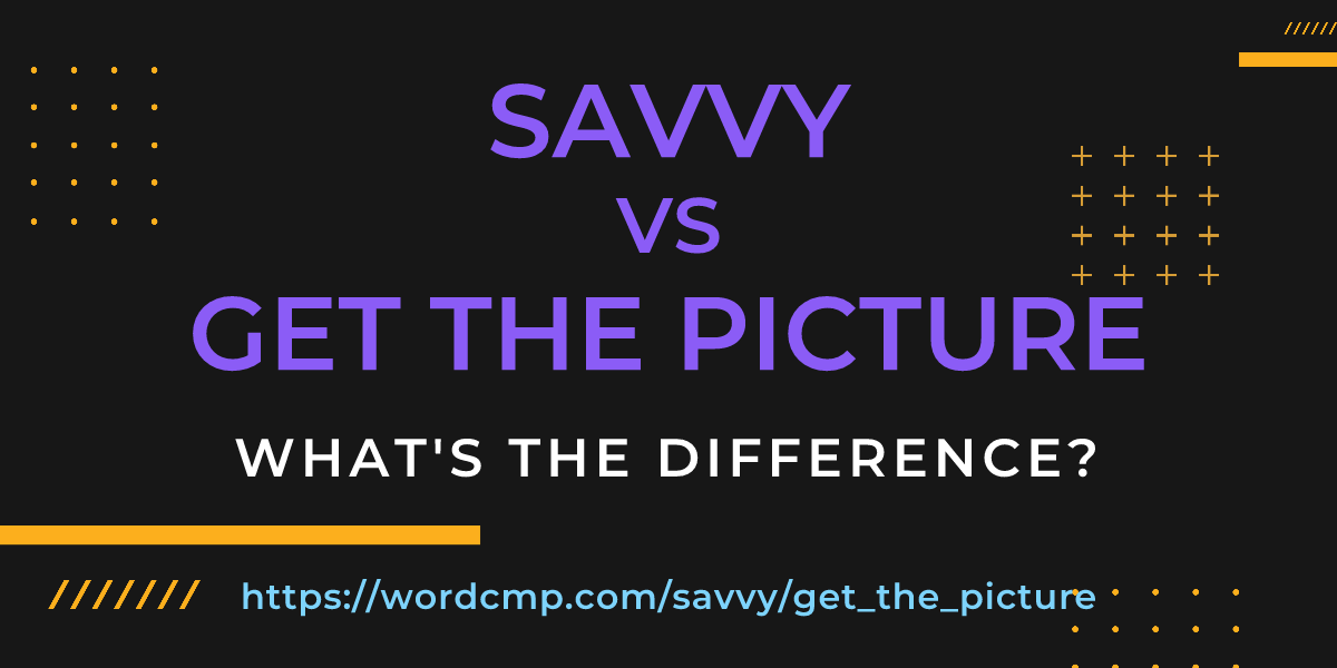Difference between savvy and get the picture