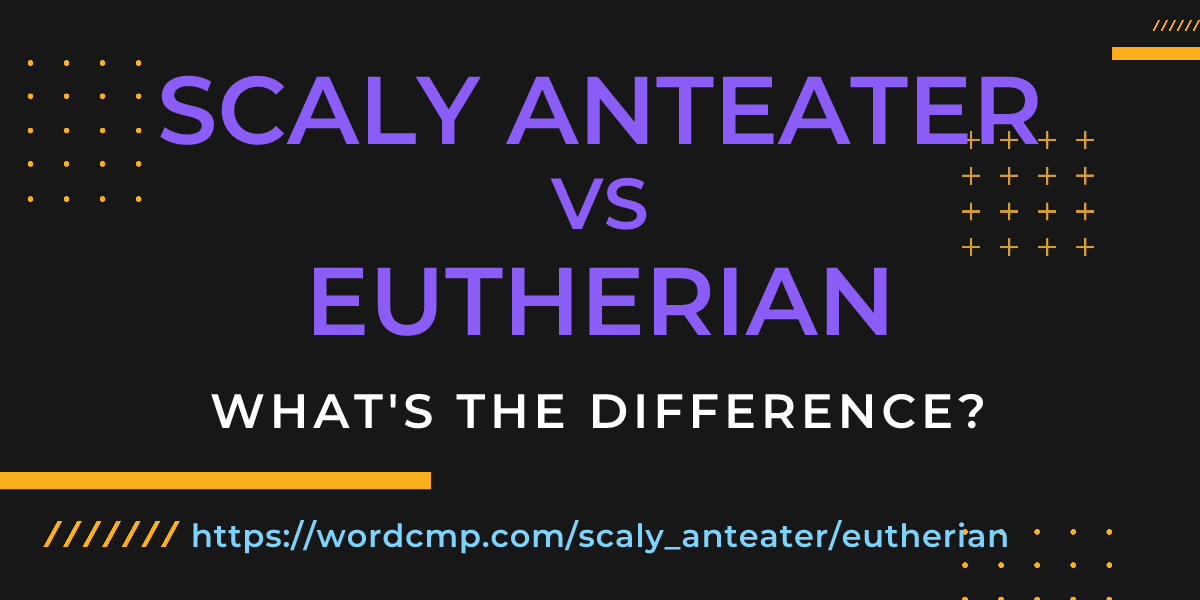 Difference between scaly anteater and eutherian