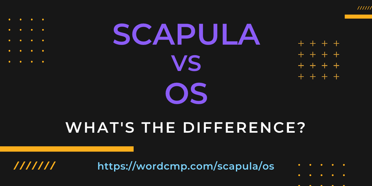 Difference between scapula and os