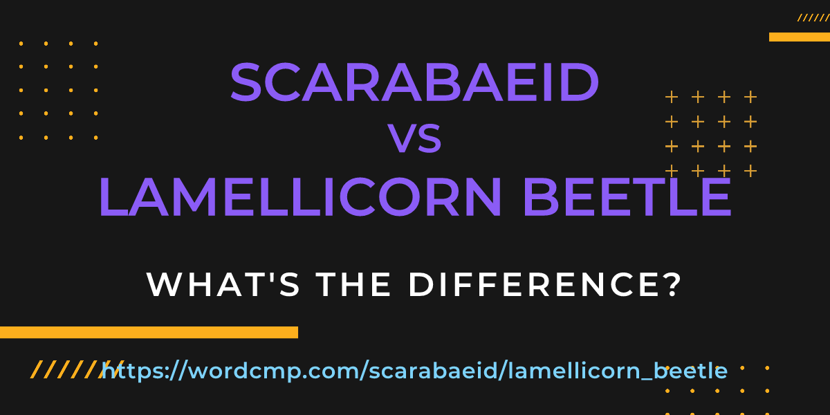 Difference between scarabaeid and lamellicorn beetle