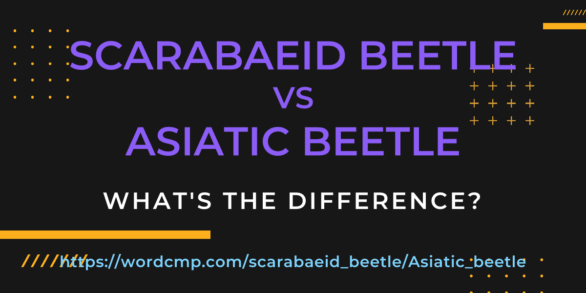 Difference between scarabaeid beetle and Asiatic beetle