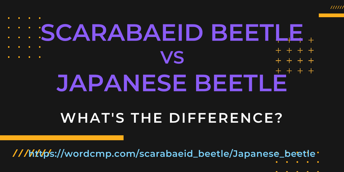 Difference between scarabaeid beetle and Japanese beetle