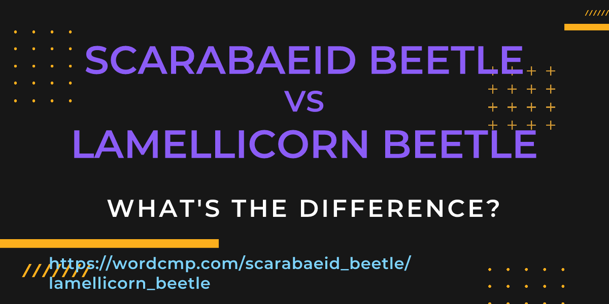 Difference between scarabaeid beetle and lamellicorn beetle