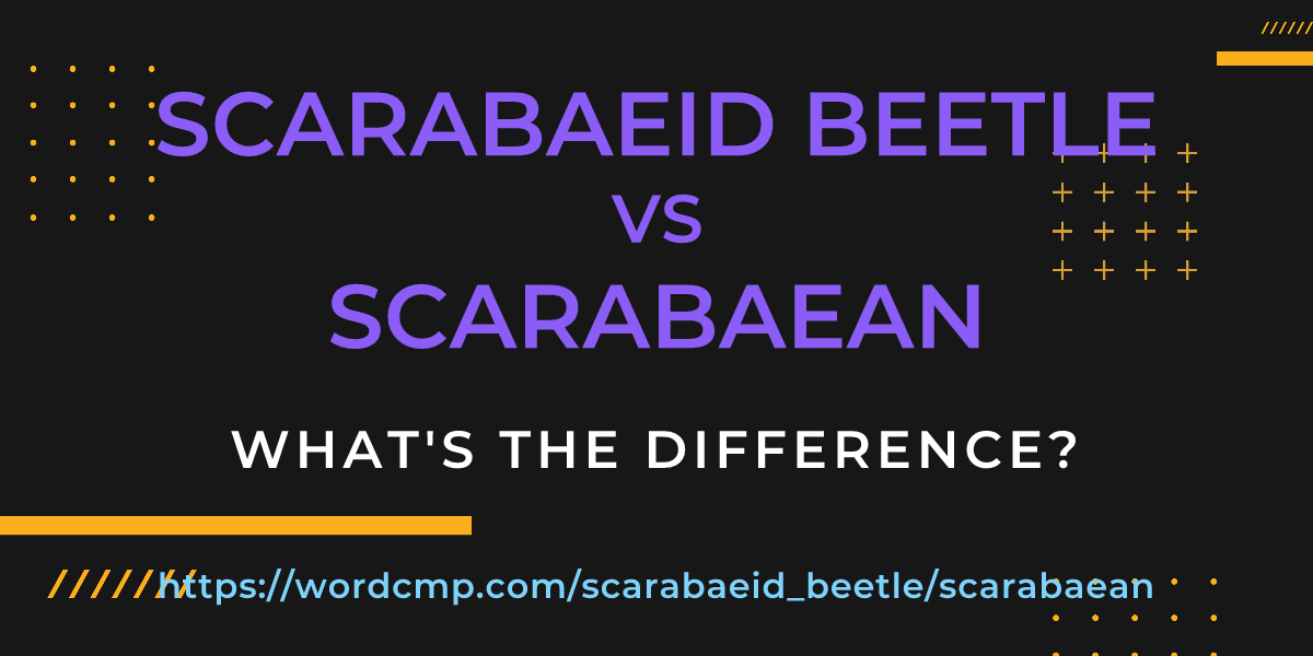 Difference between scarabaeid beetle and scarabaean