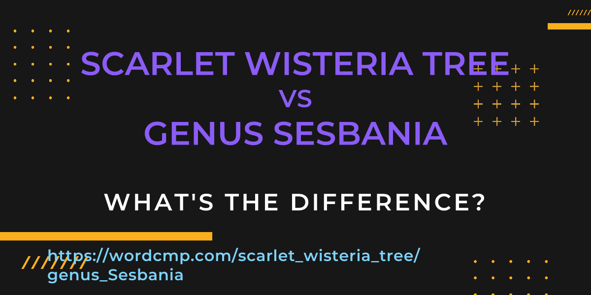 Difference between scarlet wisteria tree and genus Sesbania