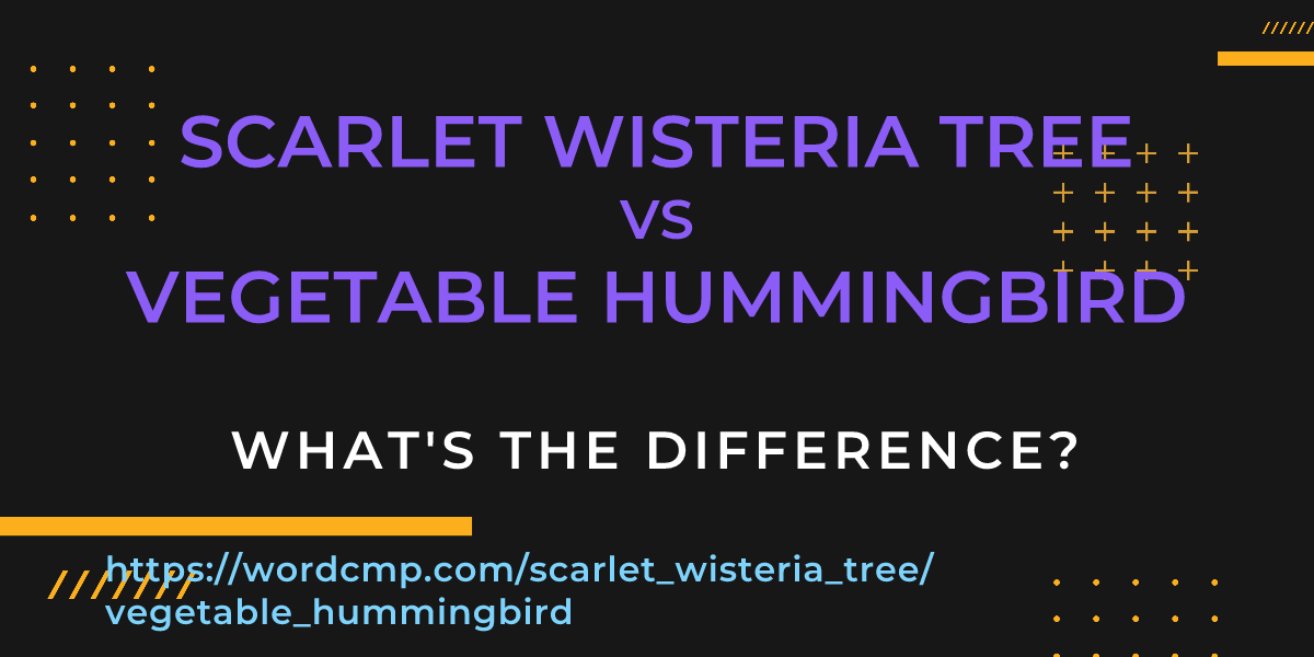 Difference between scarlet wisteria tree and vegetable hummingbird