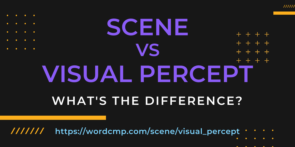 Difference between scene and visual percept