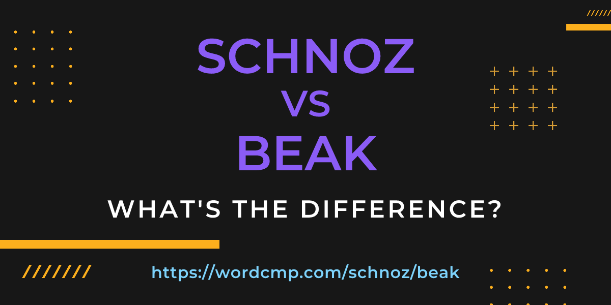 Difference between schnoz and beak