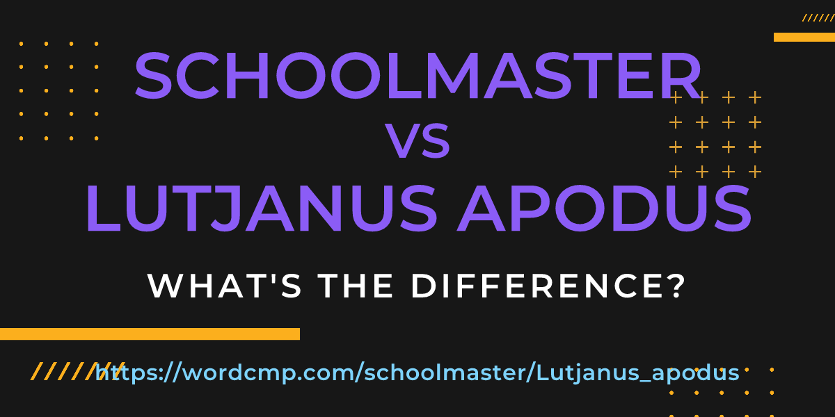 Difference between schoolmaster and Lutjanus apodus