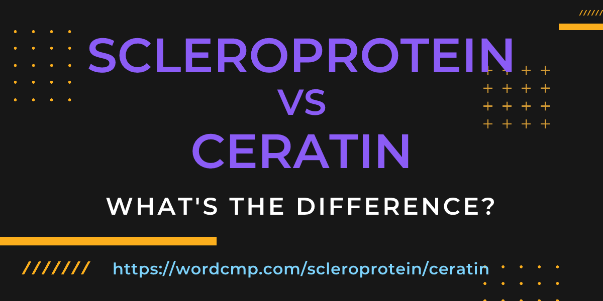 Difference between scleroprotein and ceratin
