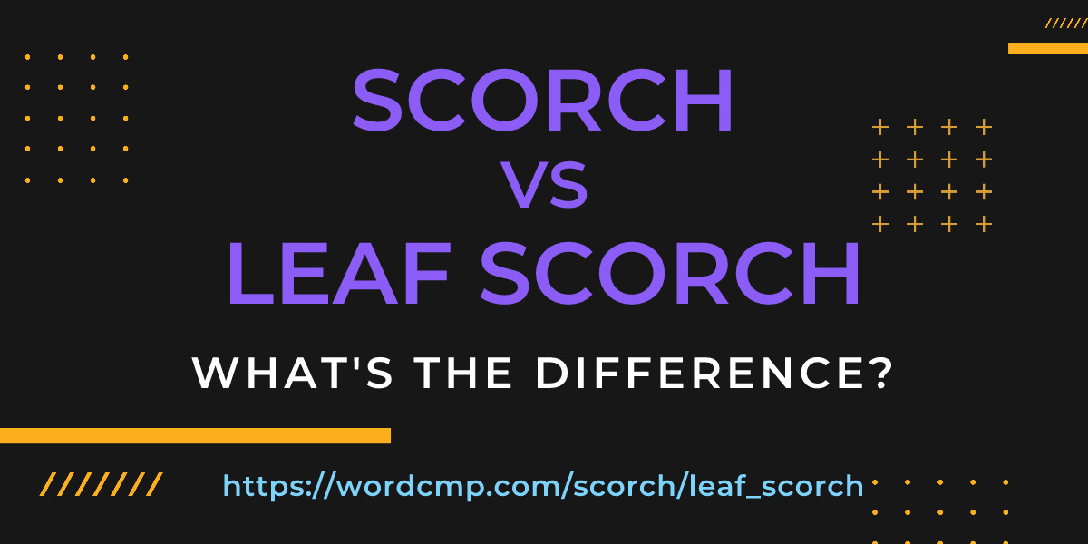 Difference between scorch and leaf scorch