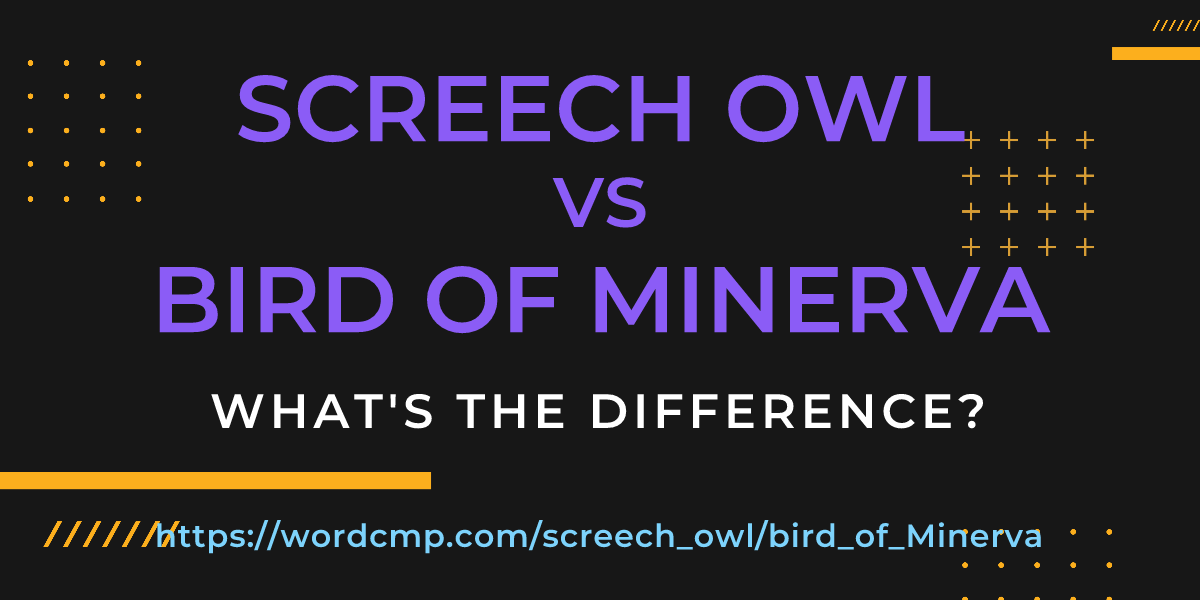 Difference between screech owl and bird of Minerva
