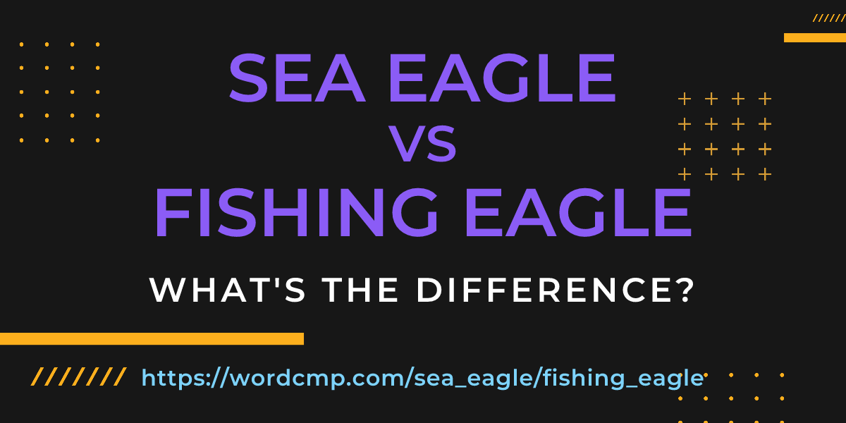 Difference between sea eagle and fishing eagle