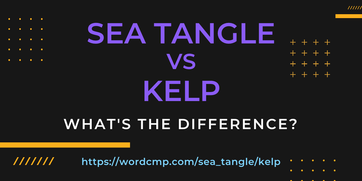 Difference between sea tangle and kelp
