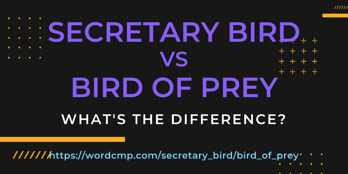 Difference between secretary bird and bird of prey