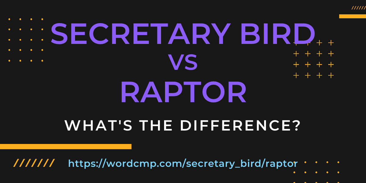 Difference between secretary bird and raptor
