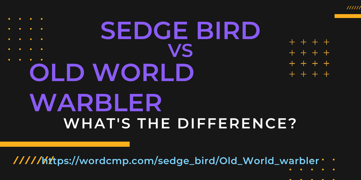 Difference between sedge bird and Old World warbler