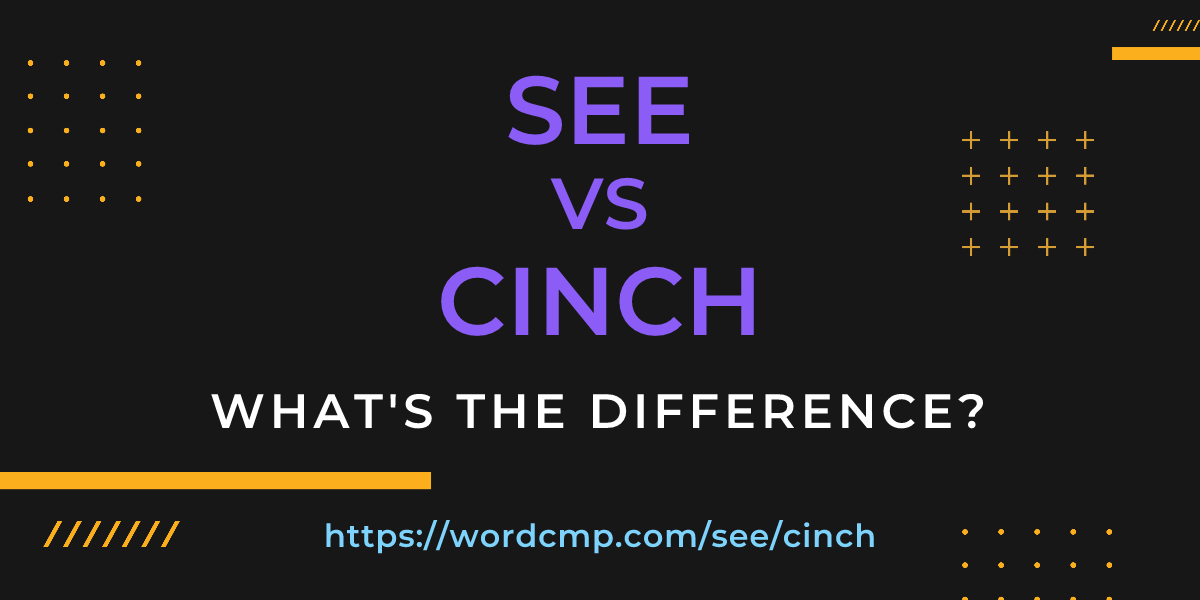 Difference between see and cinch