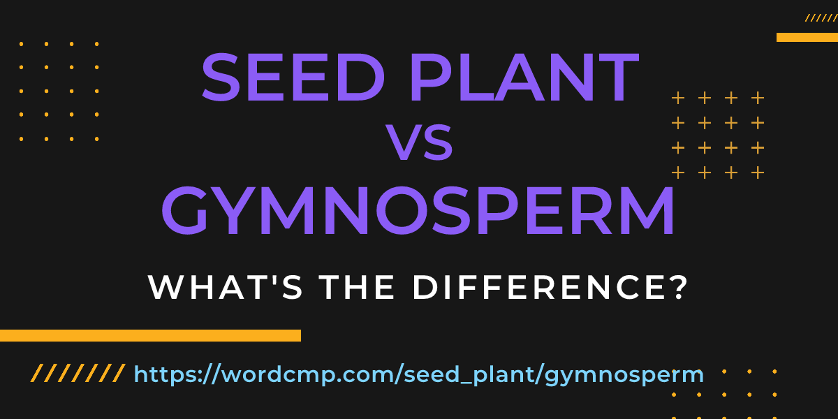 Difference between seed plant and gymnosperm