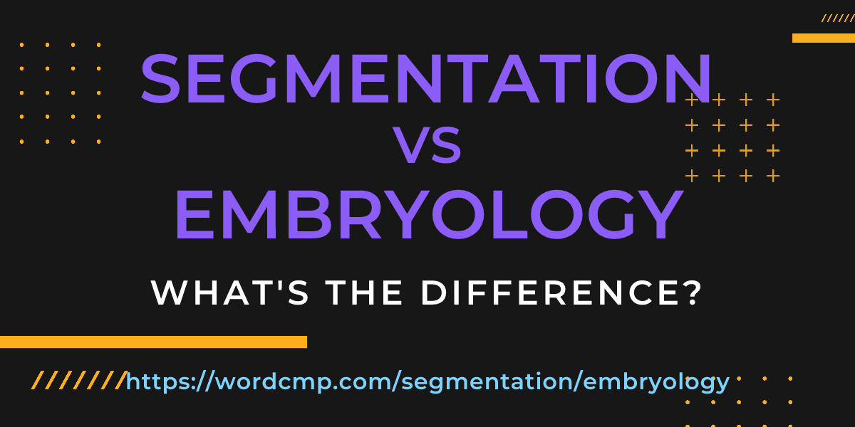 Difference between segmentation and embryology