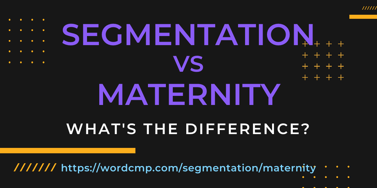 Difference between segmentation and maternity